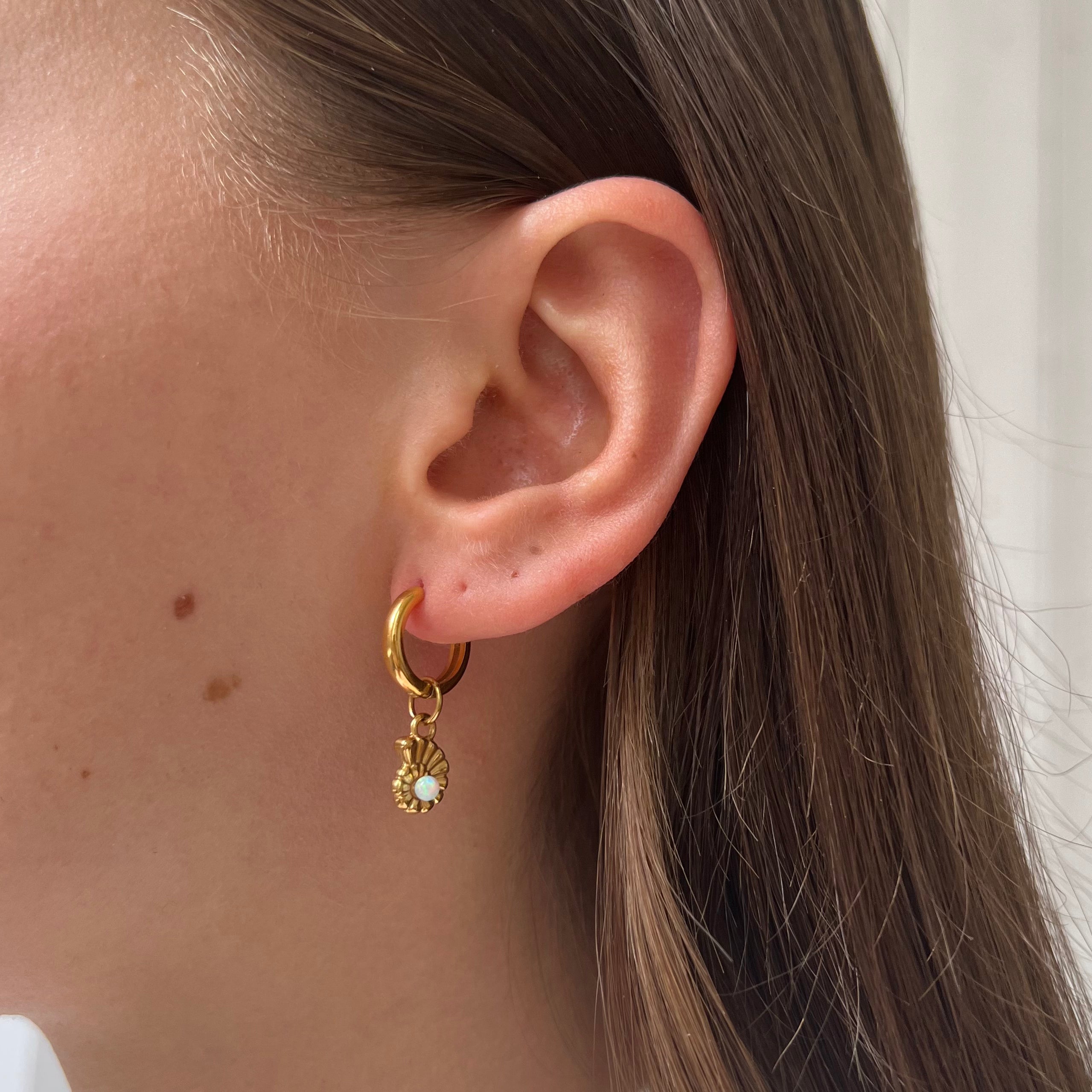 Ohrring Opal Mondmuschel Ohrring Opal Mondmuschel