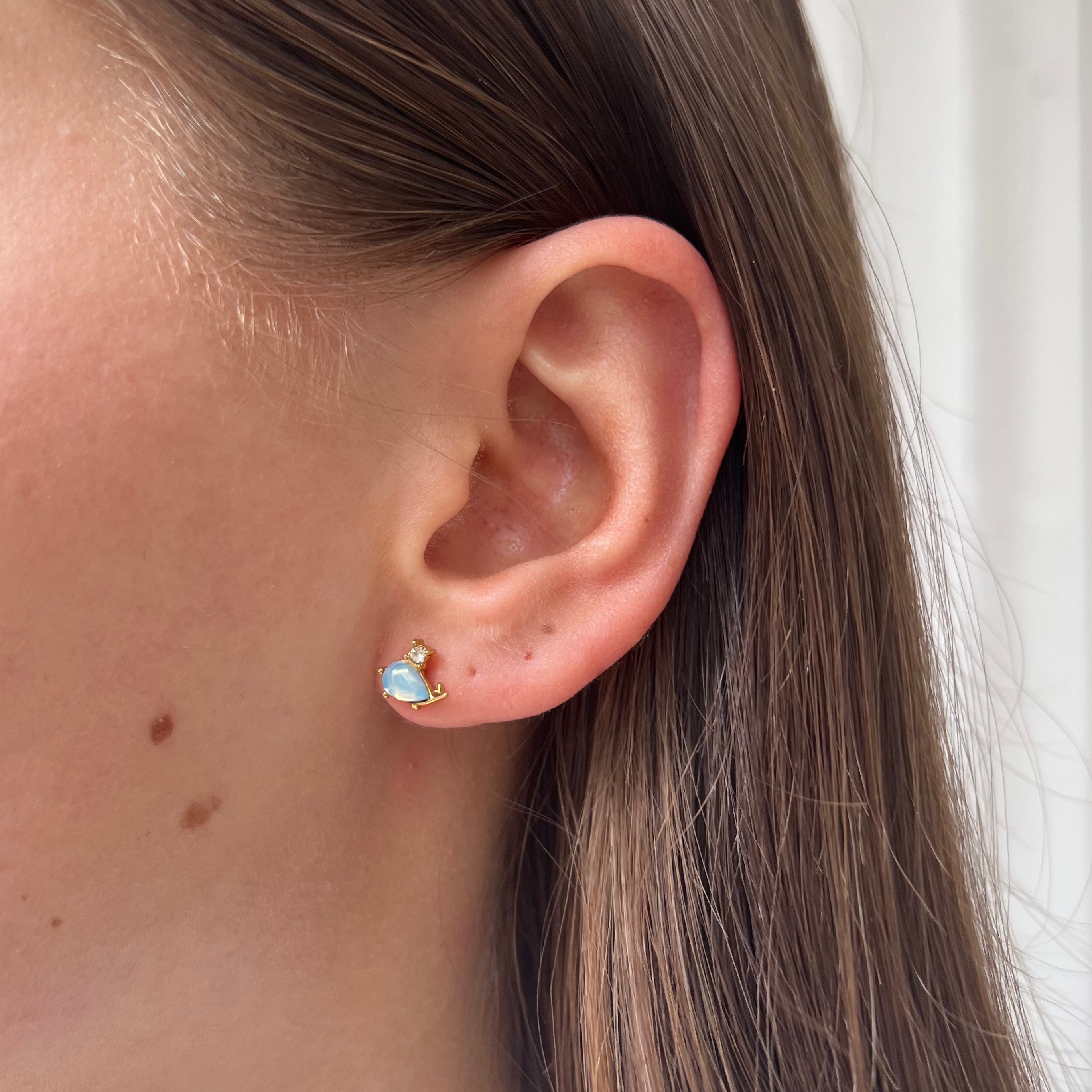 Earstud Whale Earstud Whale