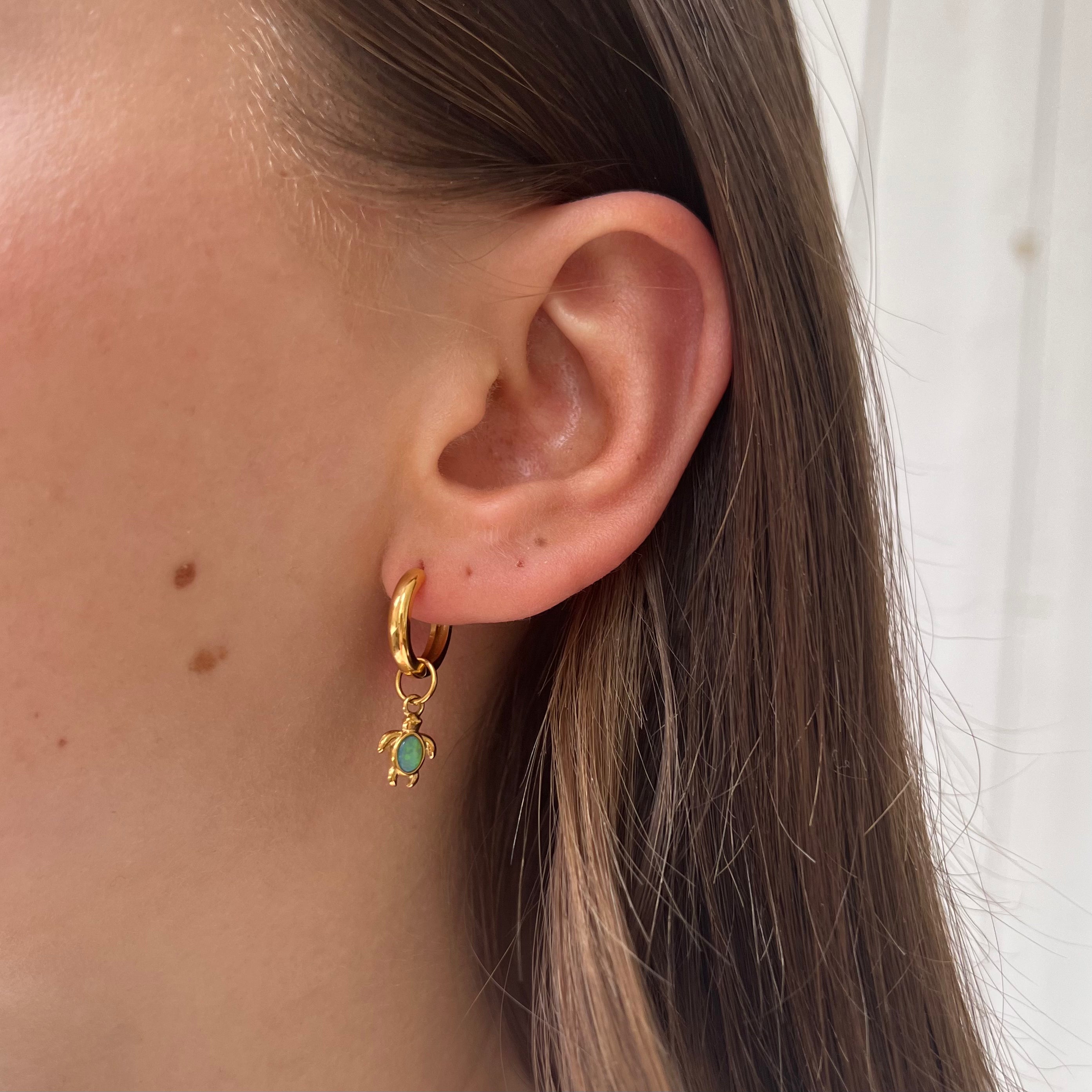 DYO Grüne Schildkröte DYO Grüne Schildkröte