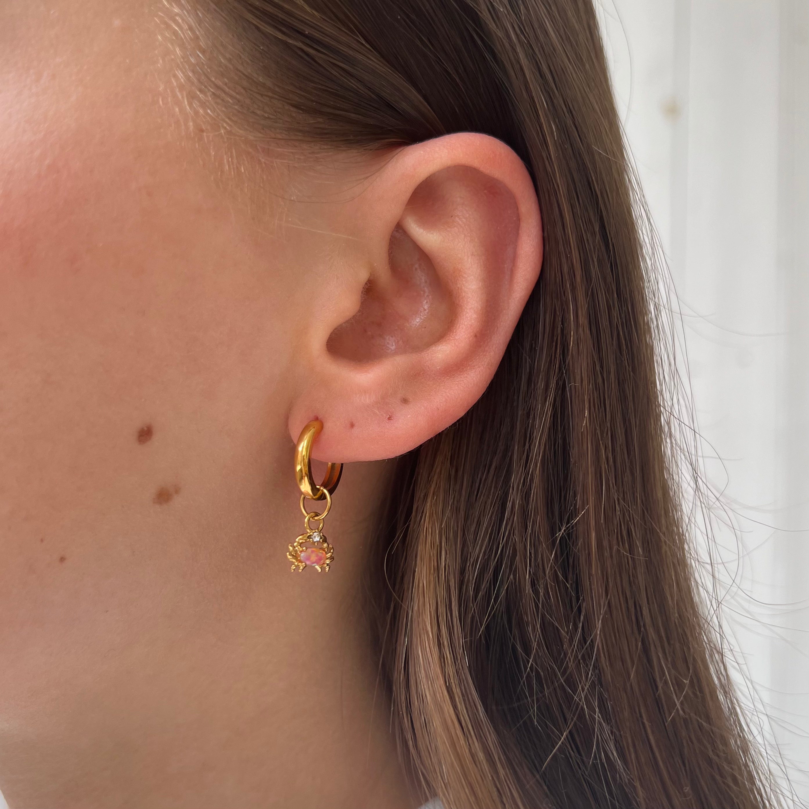 DYO Korallen Krabbe DYO Korallen Krabbe