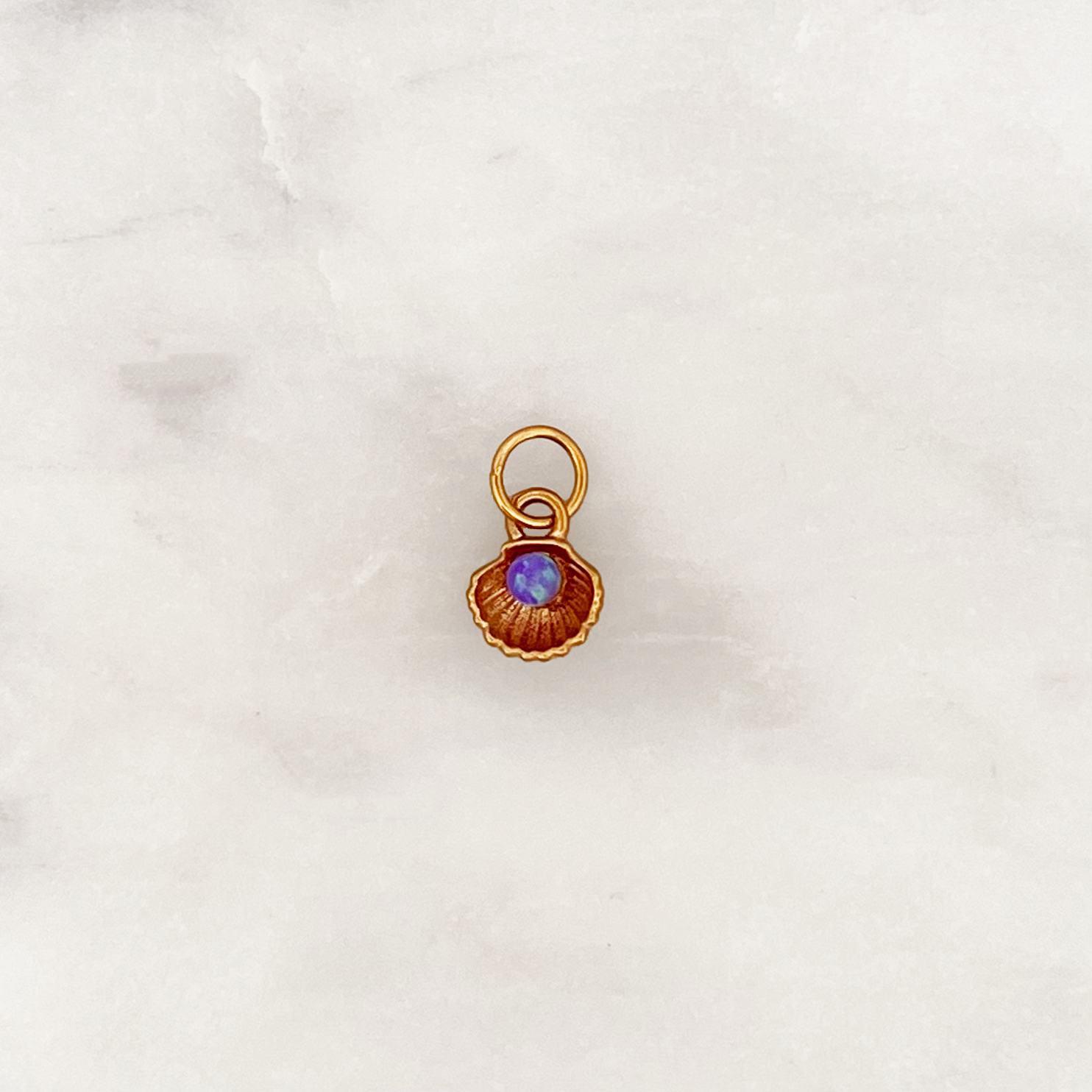 DYO Violet Shell DYO Violet Shell