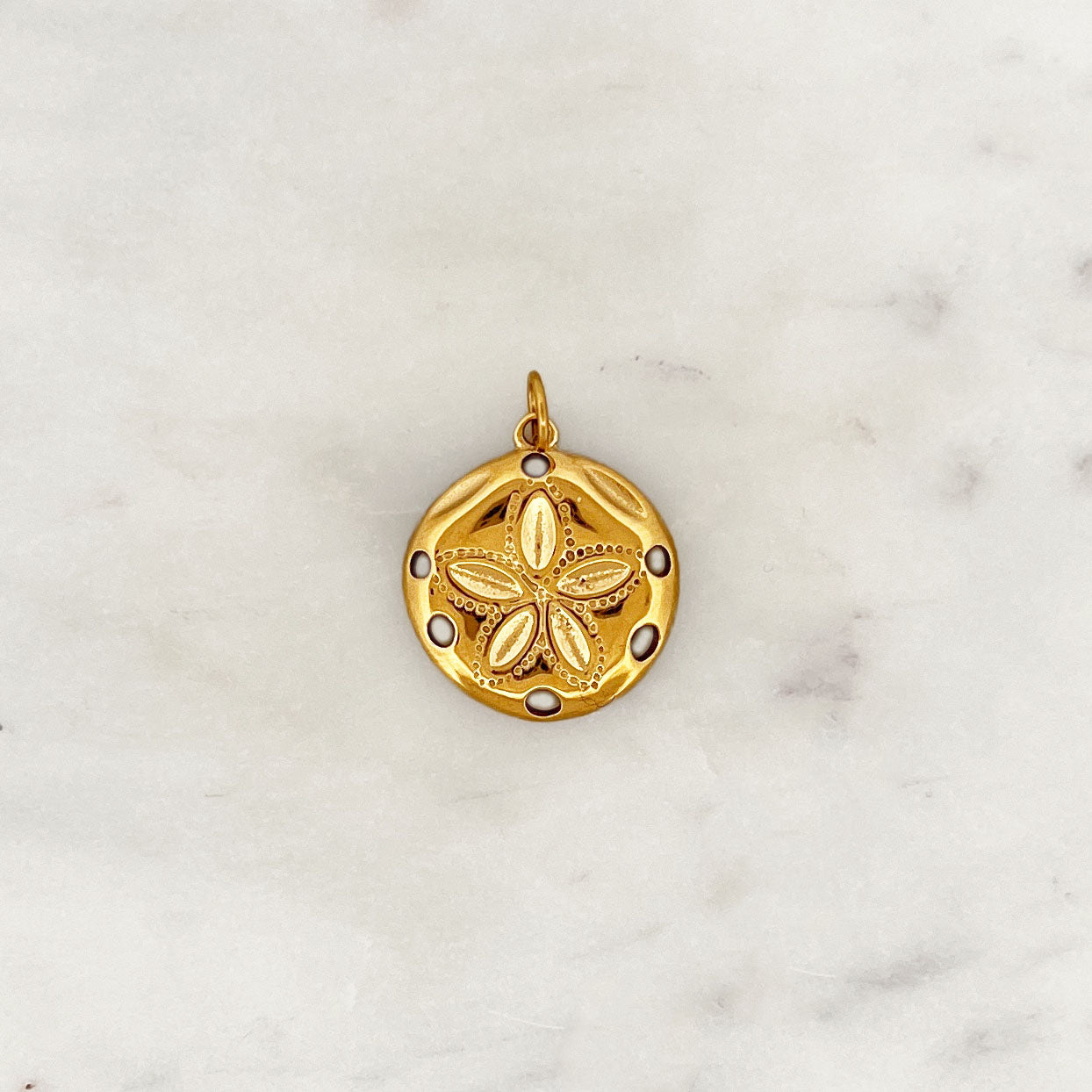 DYO Big Sand Dollar DYO Big Sand Dollar