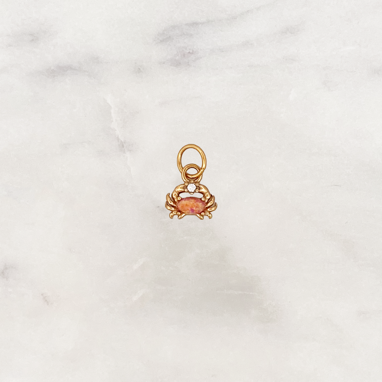 DYO Korallen Krabbe DYO Korallen Krabbe