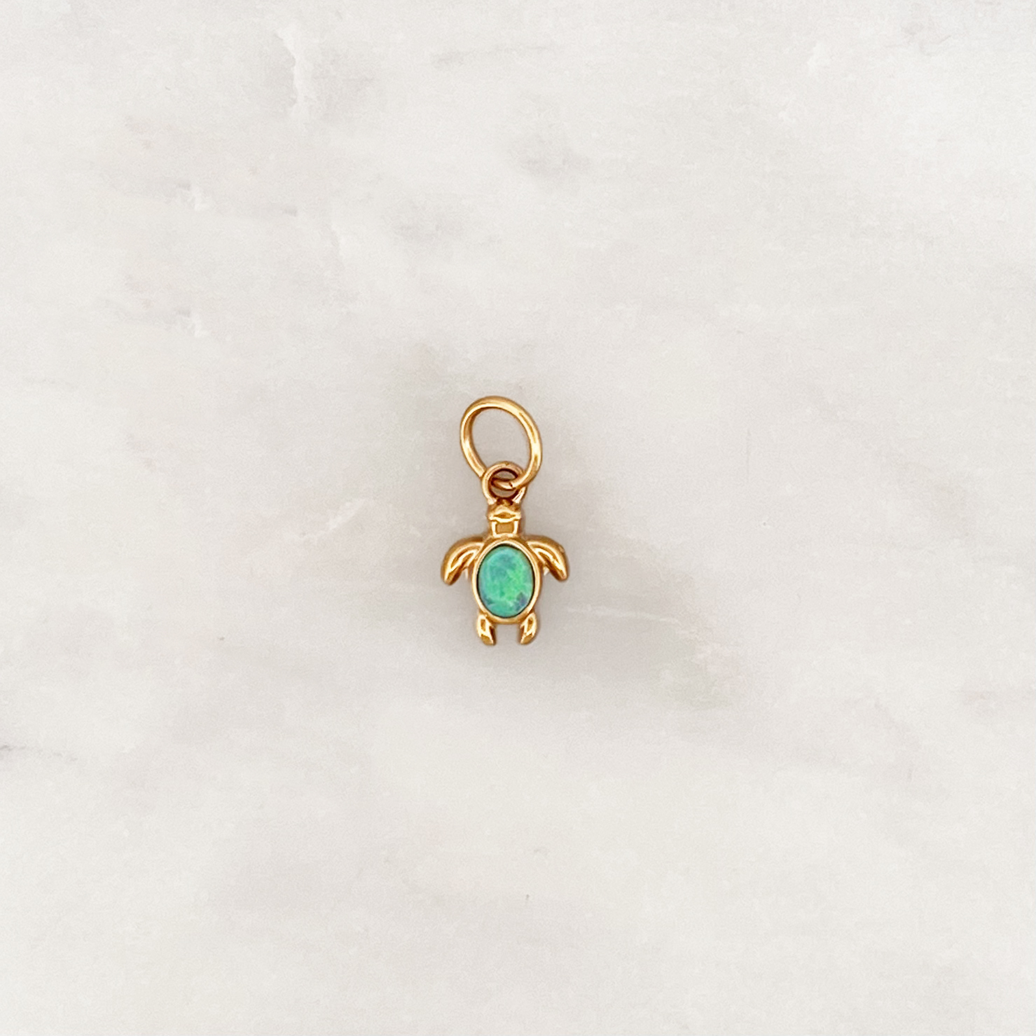 DYO Grüne Schildkröte DYO Grüne Schildkröte