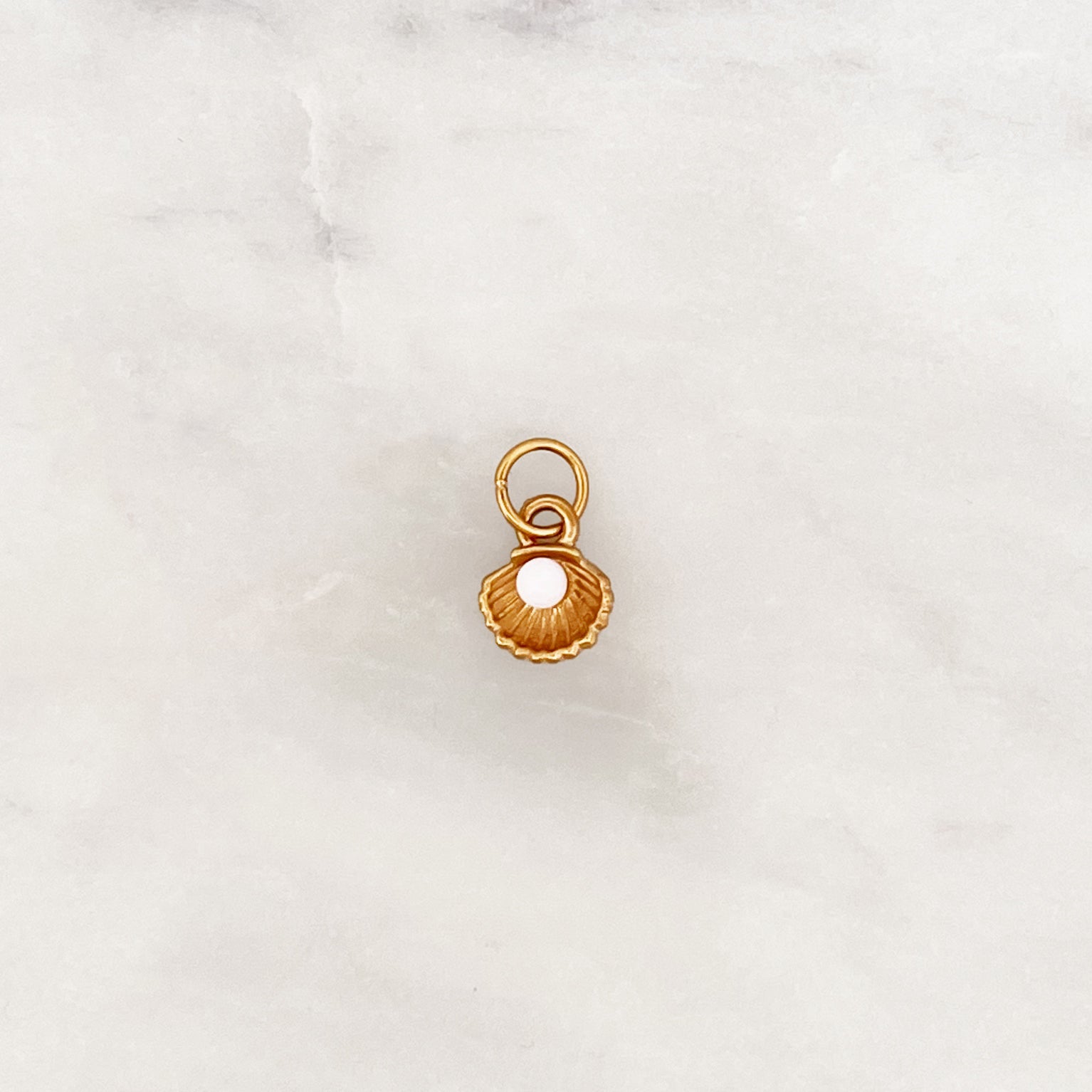 DYO Opal Shell DYO Opal Shell