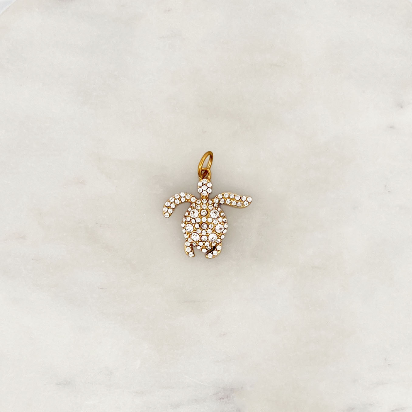 DYO Shiny Turtle DYO Shiny Turtle