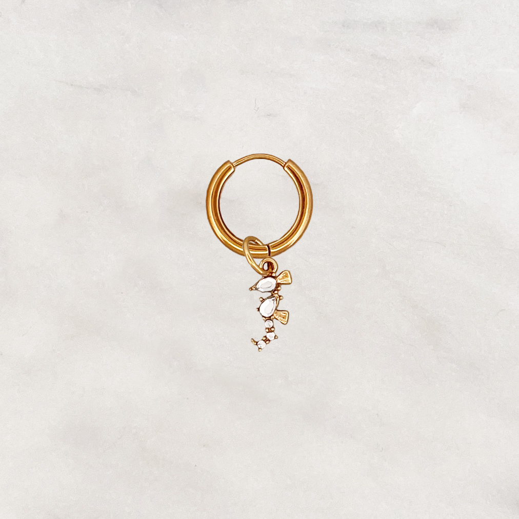 Earring Shiny Seahorse Earring Shiny Seahorse