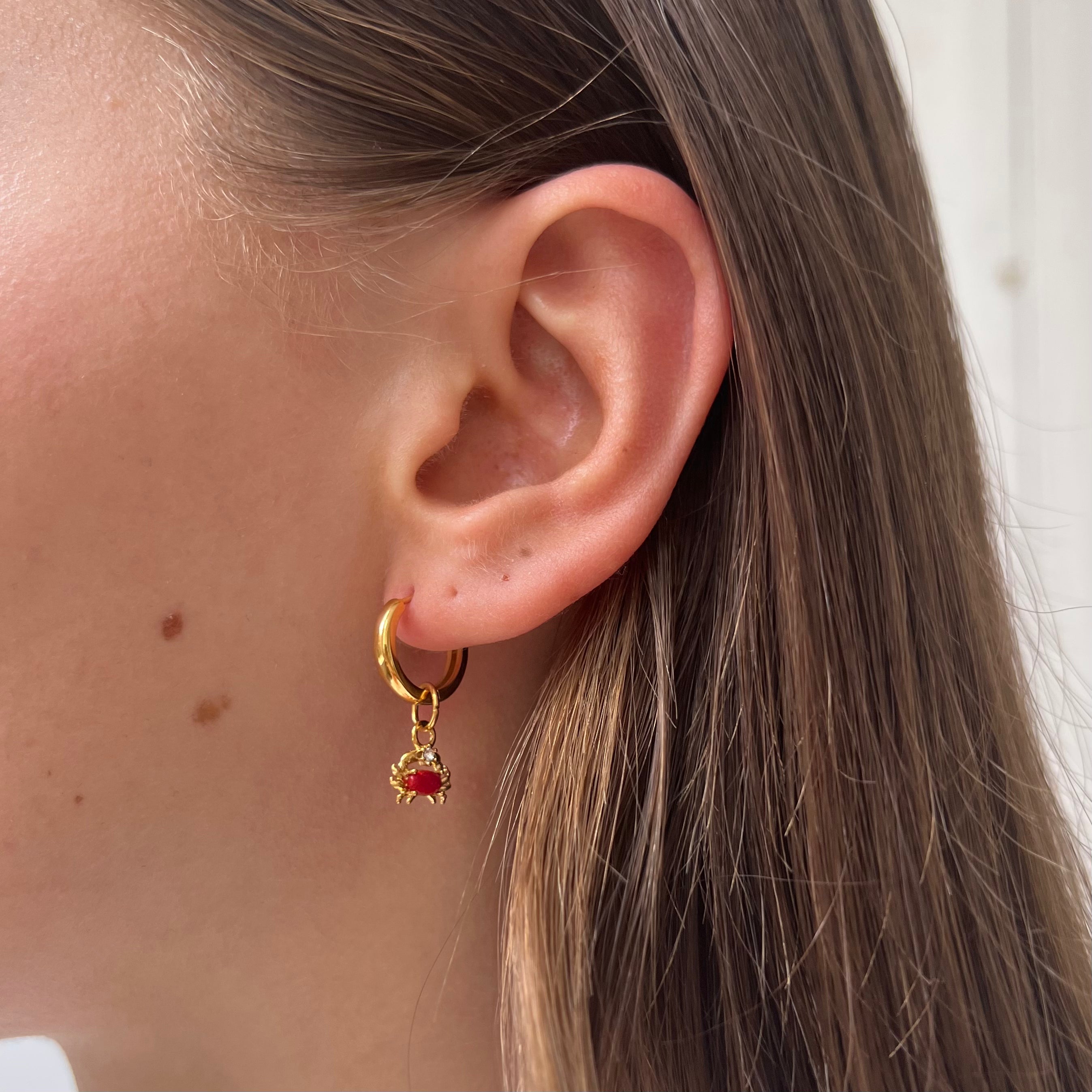 DYO Red Crabby DYO Red Crabby