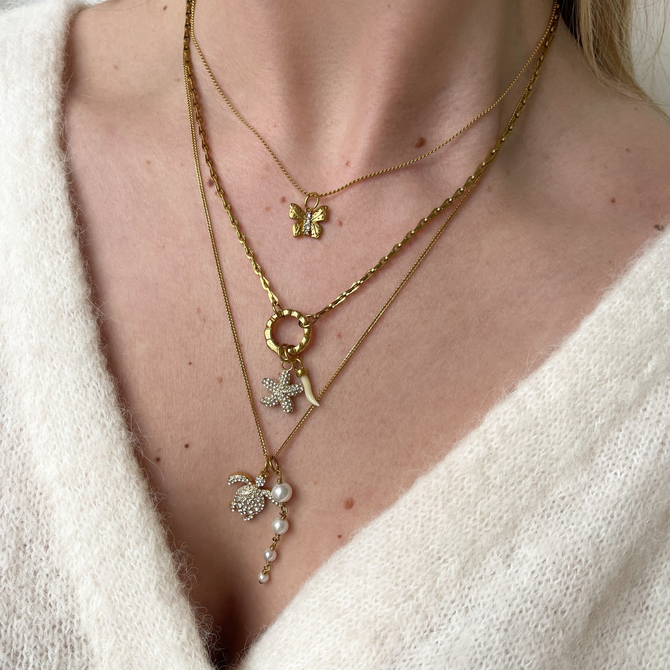 DYO Shiny Turtle DYO Shiny Turtle