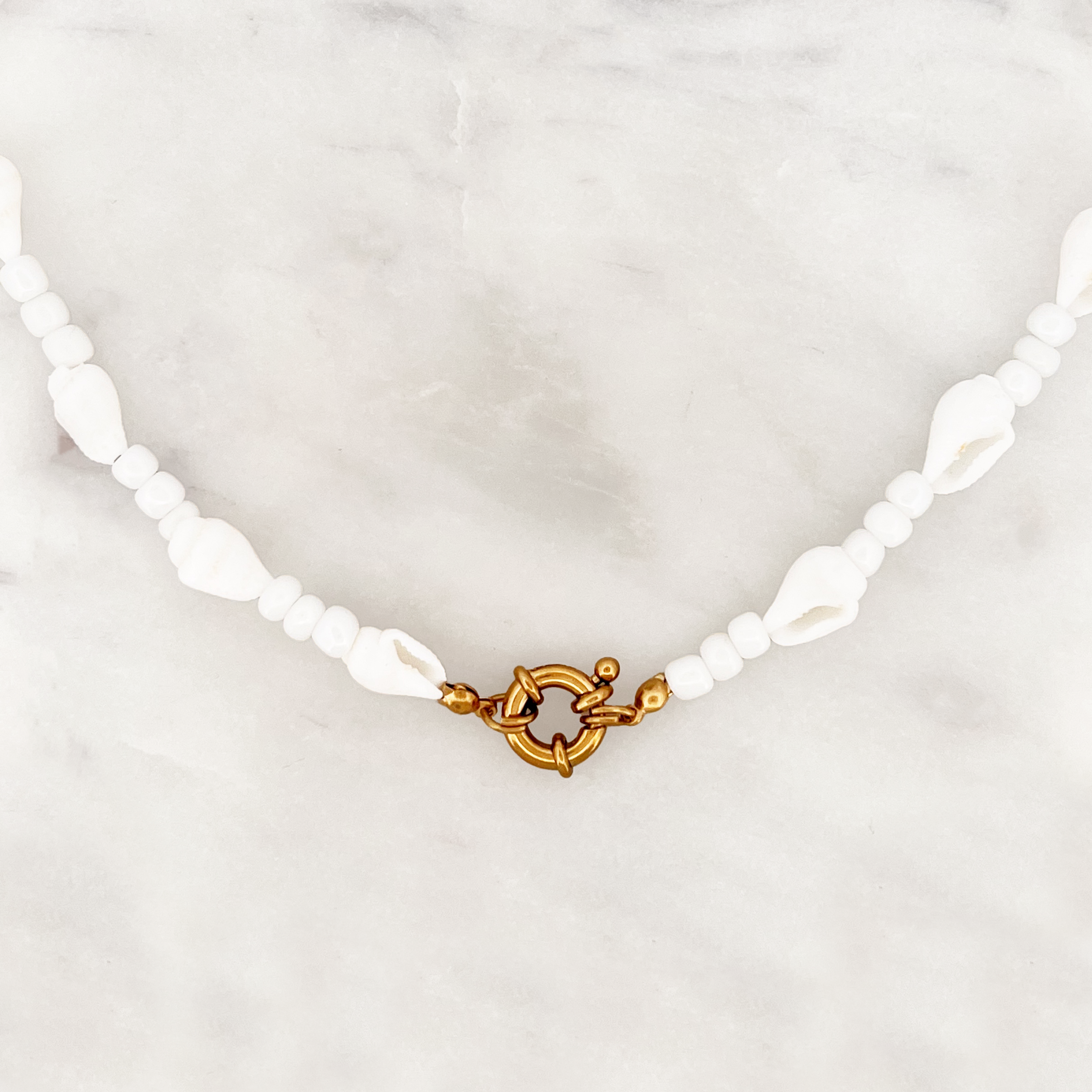 White Shell Necklace White Shell Necklace