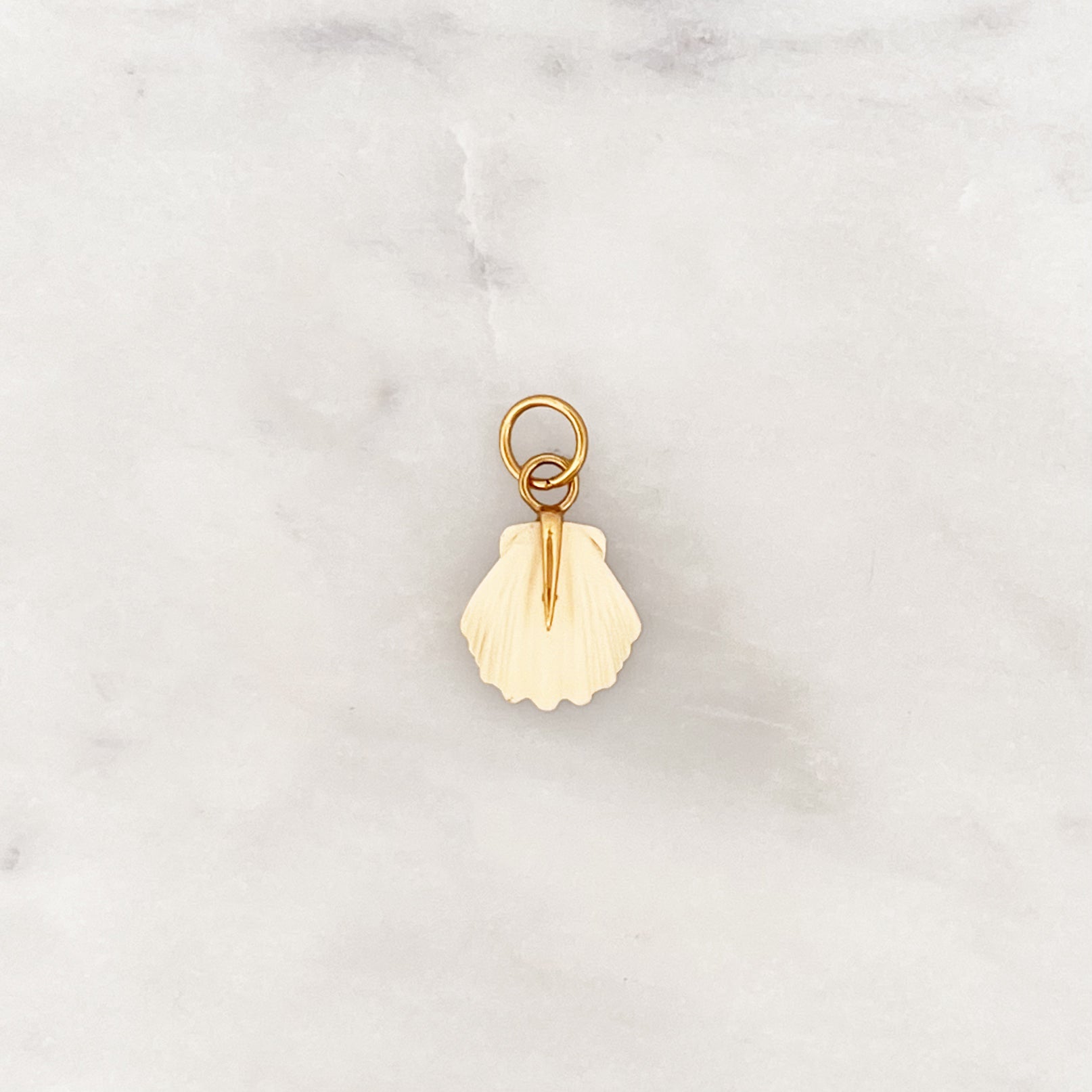 DYO Beige Beach Shell