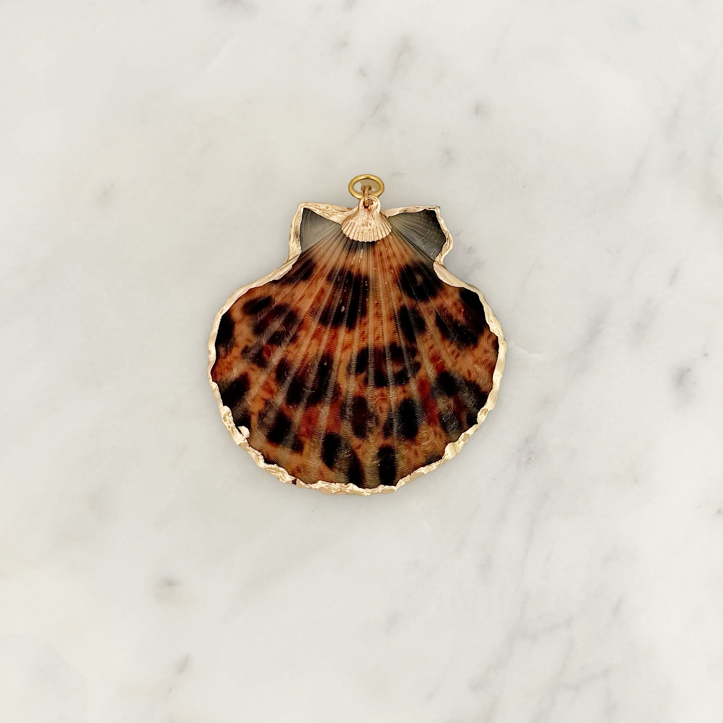 DYO Leopard Shell