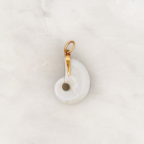 DYO Milch Mond Muschel