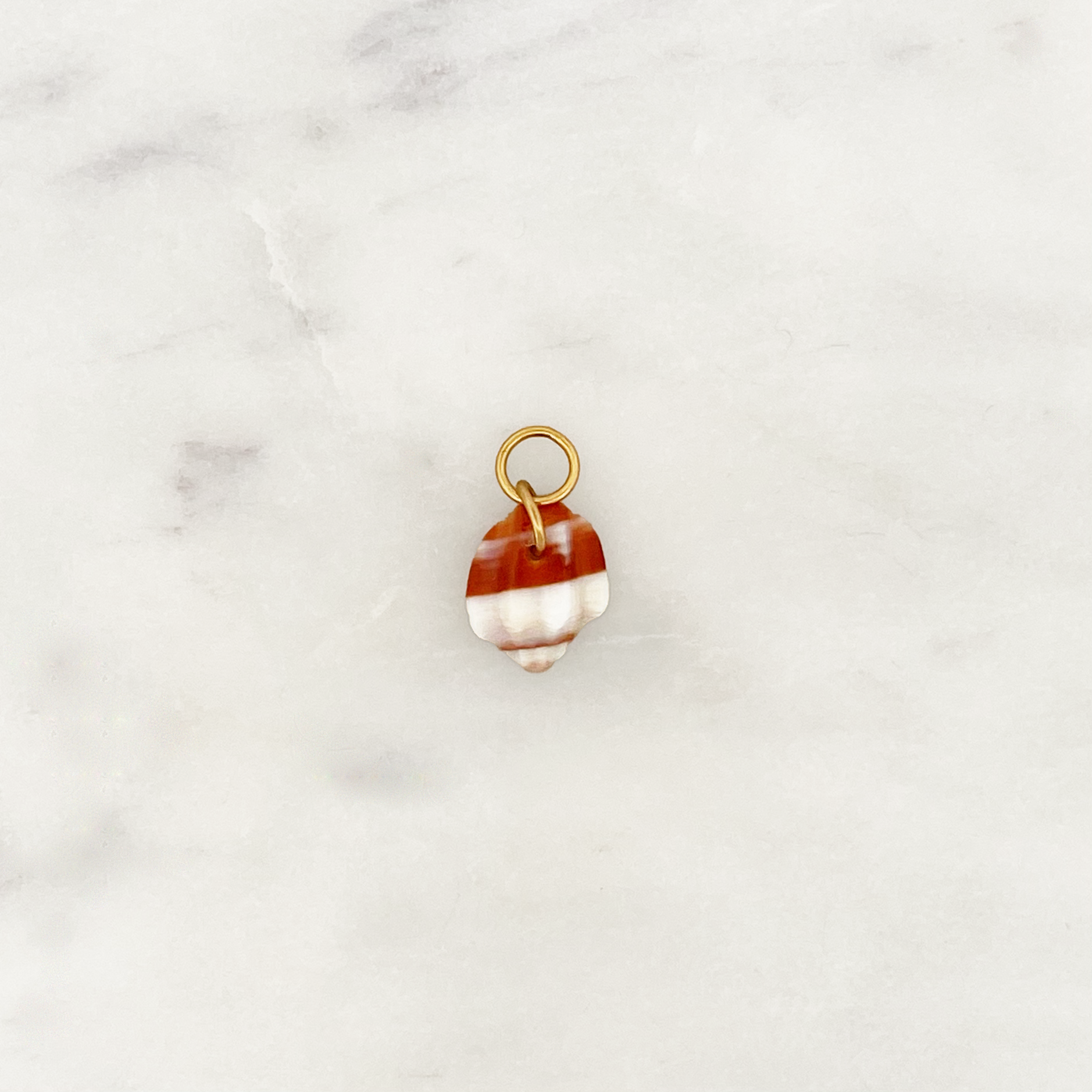 DYO Sandstrand Muschel