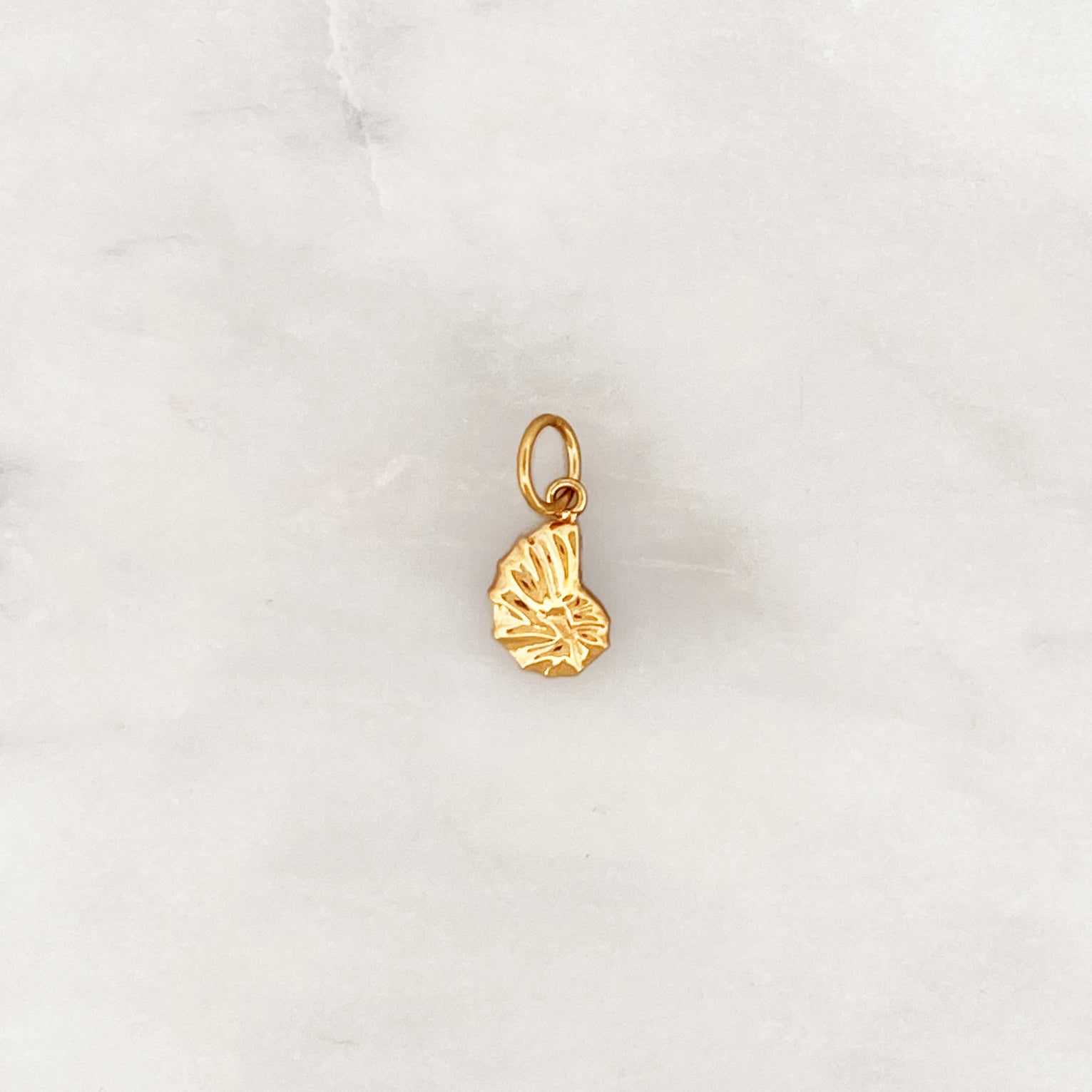 DYO Sea Shell