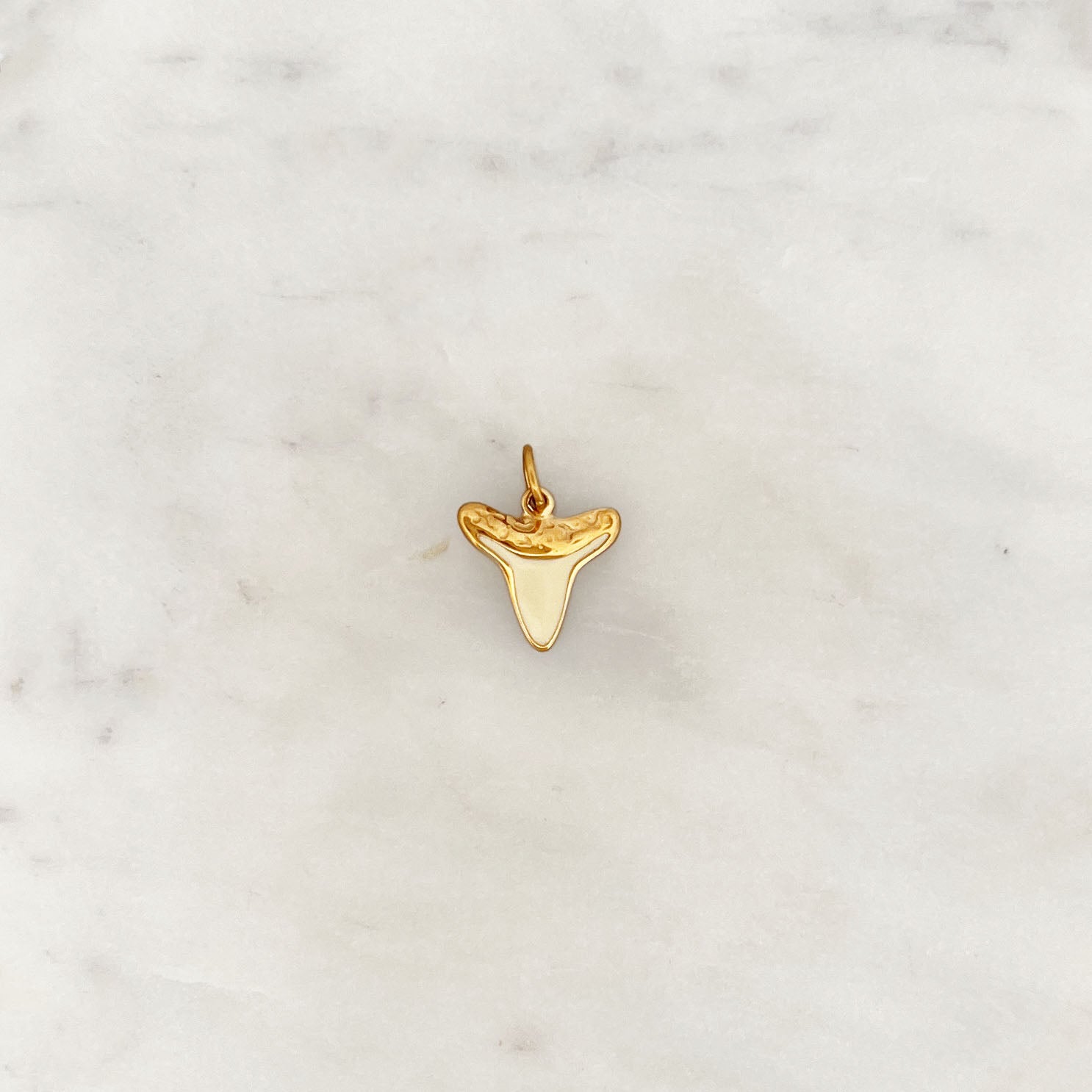 DYO Shark Tooth