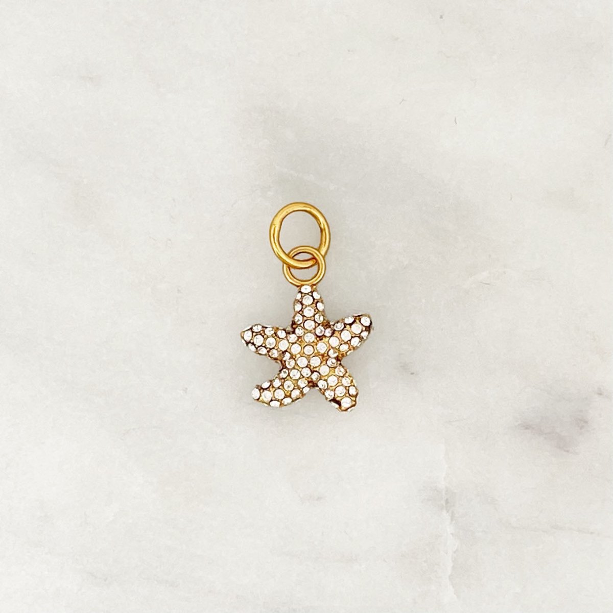 DYO Shiny Starfish - ByNouck Jewelry