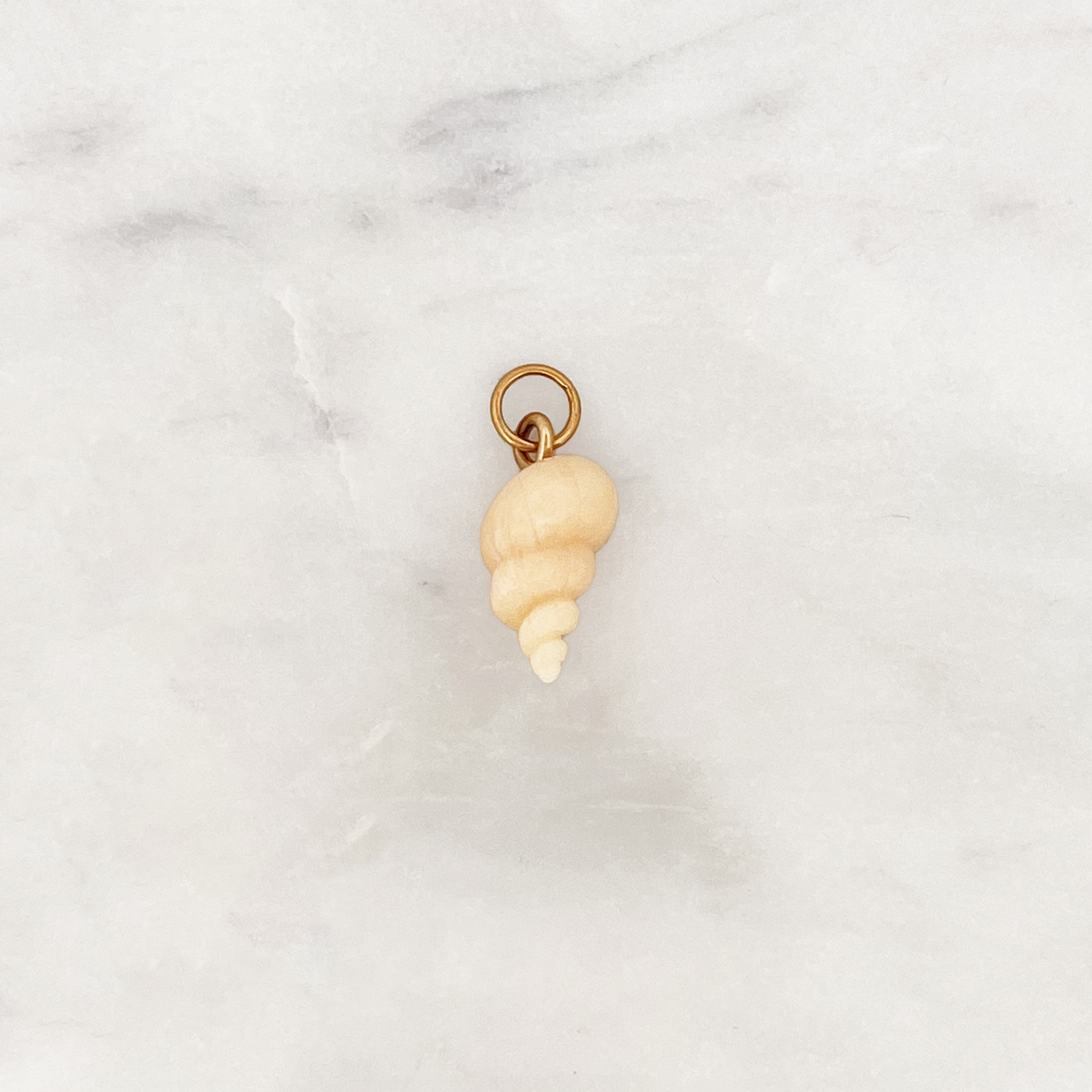 DYO Beige Conch Shell